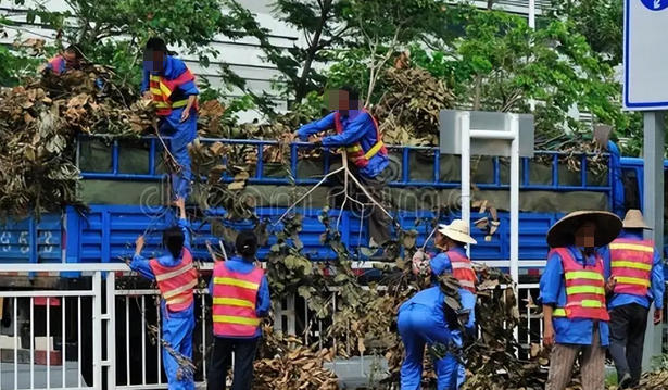昆明考劳务员有补贴吗-昆明考劳务员有补贴